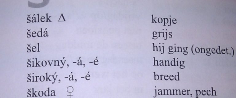 De Tsjechische taal een moeilijke taal om te leren. - Tsjechië Tips
