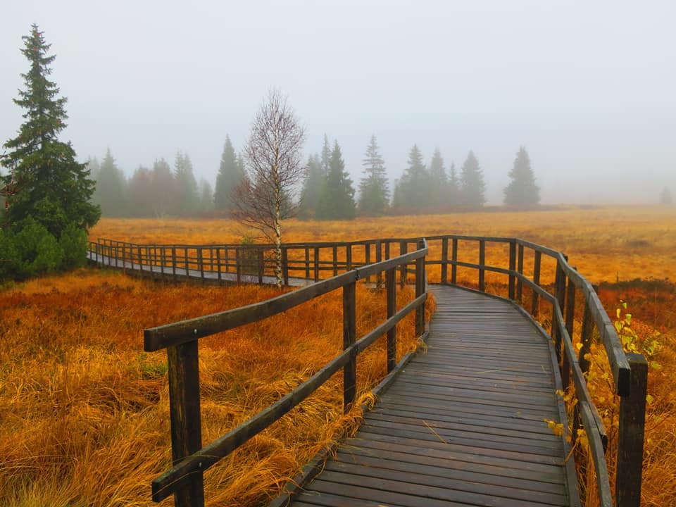 Herfst in Tsjechie